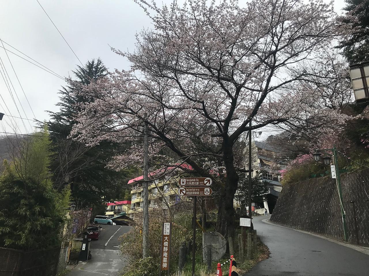 リブマックスリゾート川治 日光市 エクステリア 写真